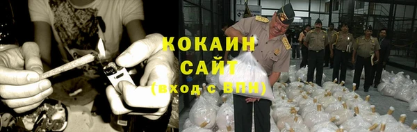 молекула духа Бугульма
