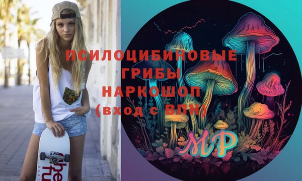 молекула духа Бугульма